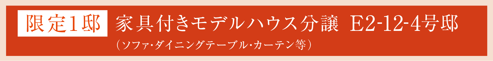 限定1邸モデルハウス分譲