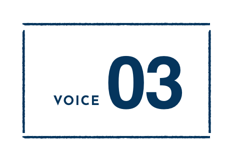 VOICE03