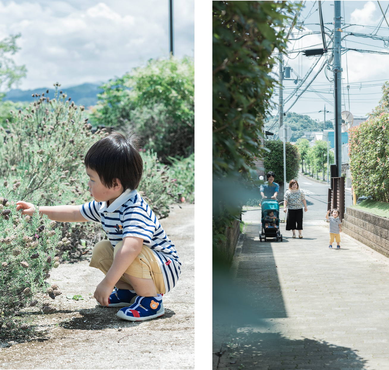 自然がいっぱいの街は、歩くだけでも楽しいです。イメージ画像