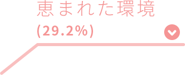 恵まれた環境（29.2%）