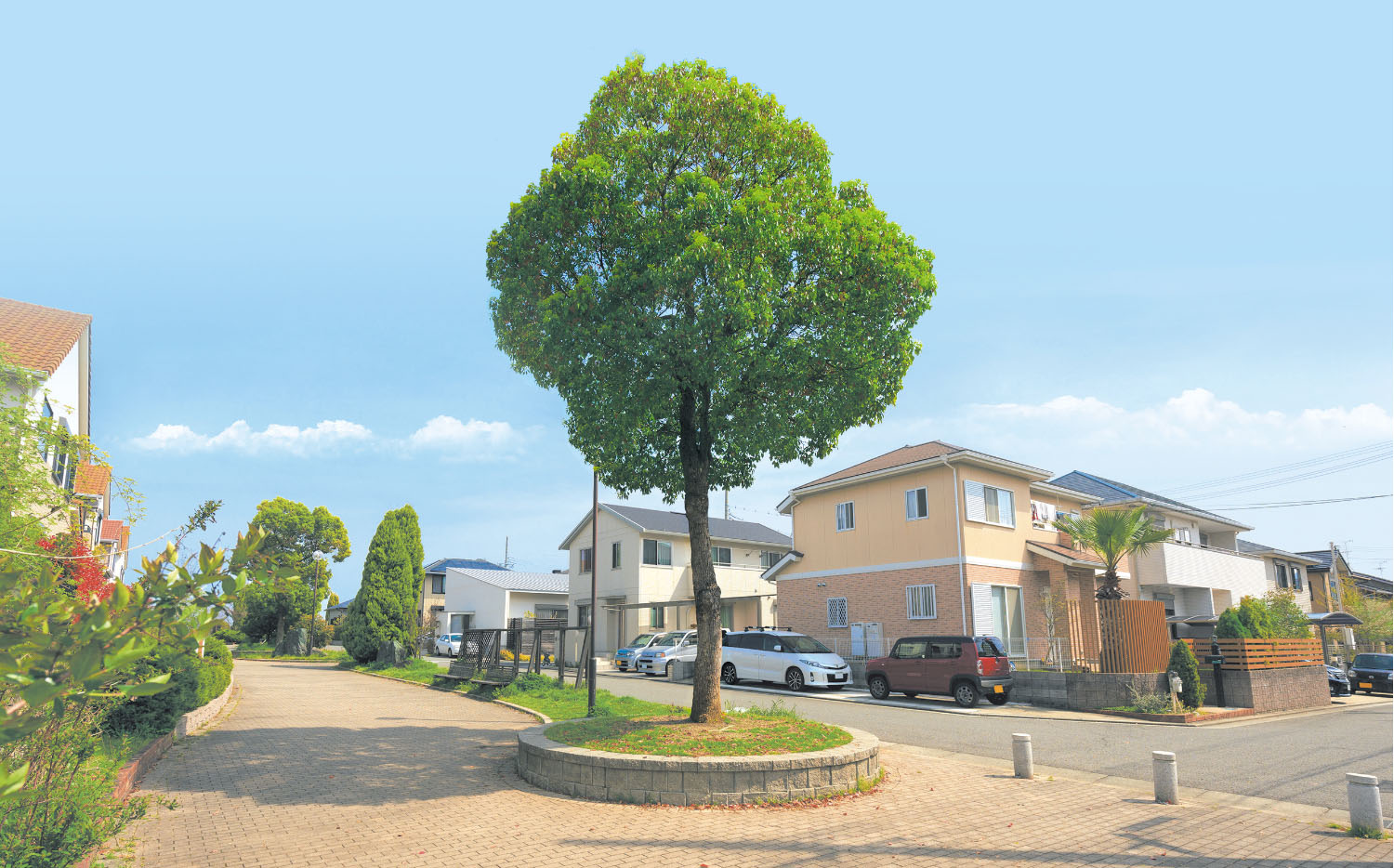 つばさが丘、敷地内歩道の風景